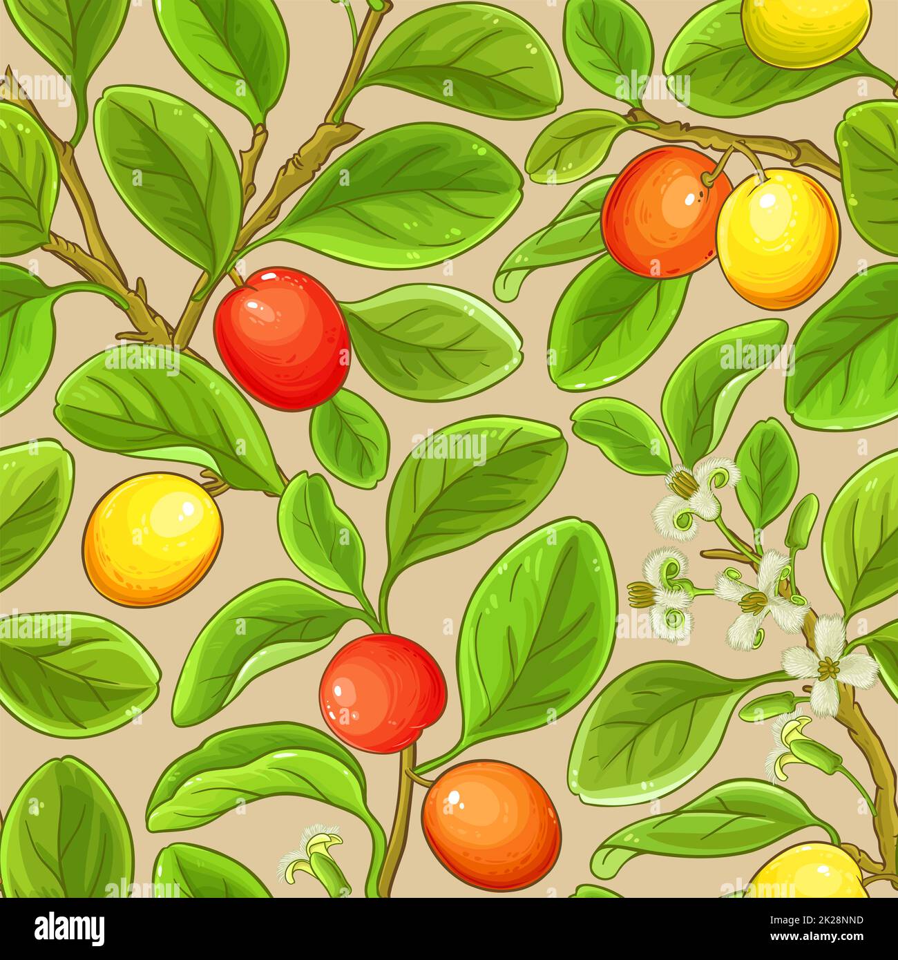 ximenia branches vector pattern on color background Stock Photo