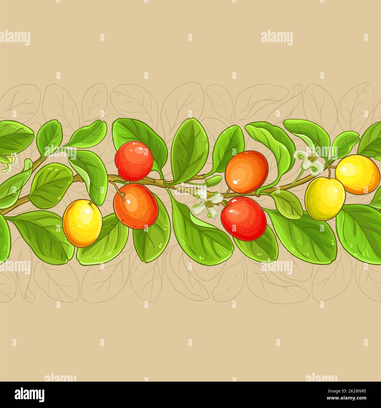 ximenia branches vector pattern on color background Stock Photo