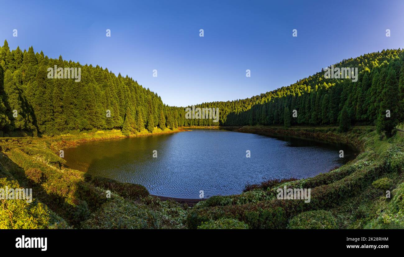 The Mares Hi Res Stock Photography And Images Alamy