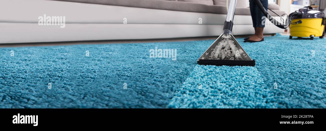 Professional Dirty Carpet Cleaning Service Using Vacuum Stock Photo Alamy