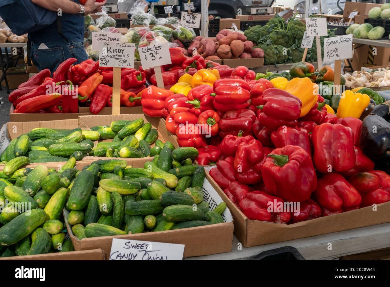 Vegetables in the Union Square Greenmarket in New York on Wednesday, September 21, 2022.  (© Richard B. Levine) Stock Photo
