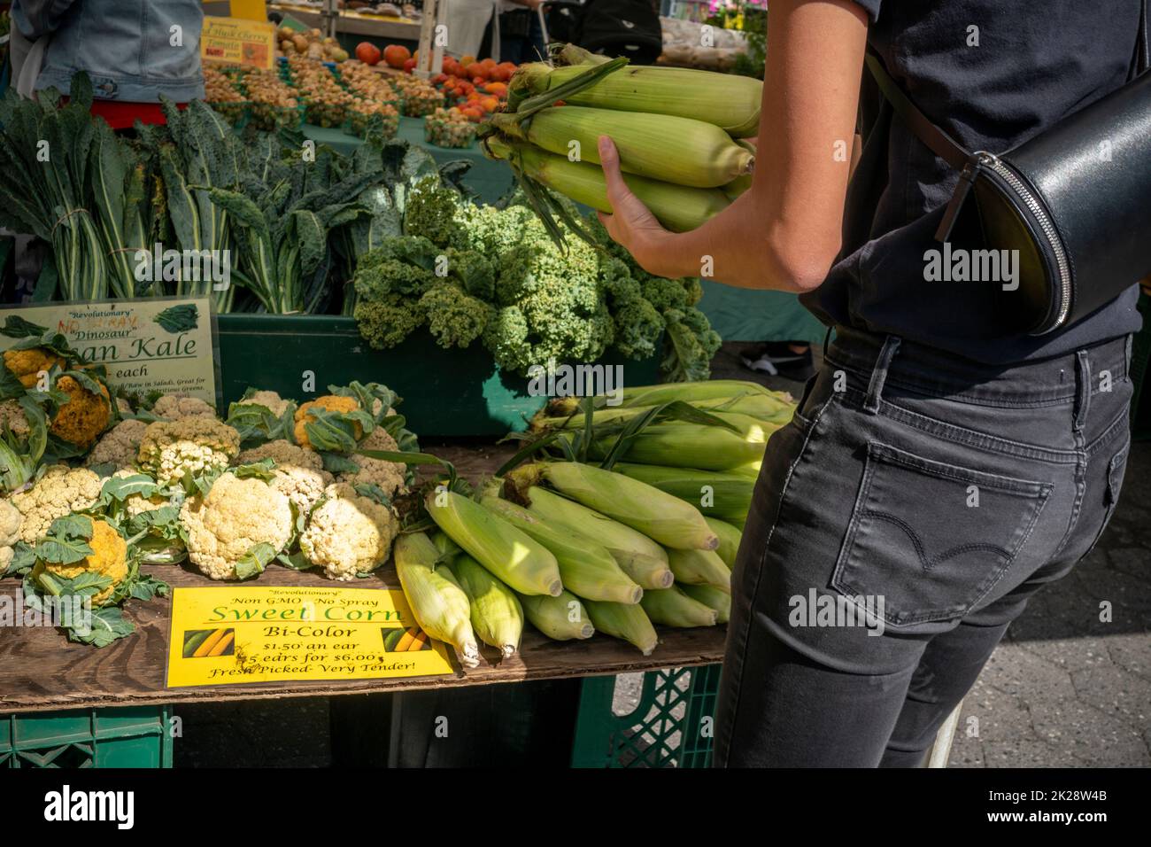 Shopping for vegetables in the Union Square Greenmarket in New York on Wednesday, September 21, 2022.  (© Richard B. Levine) Stock Photo