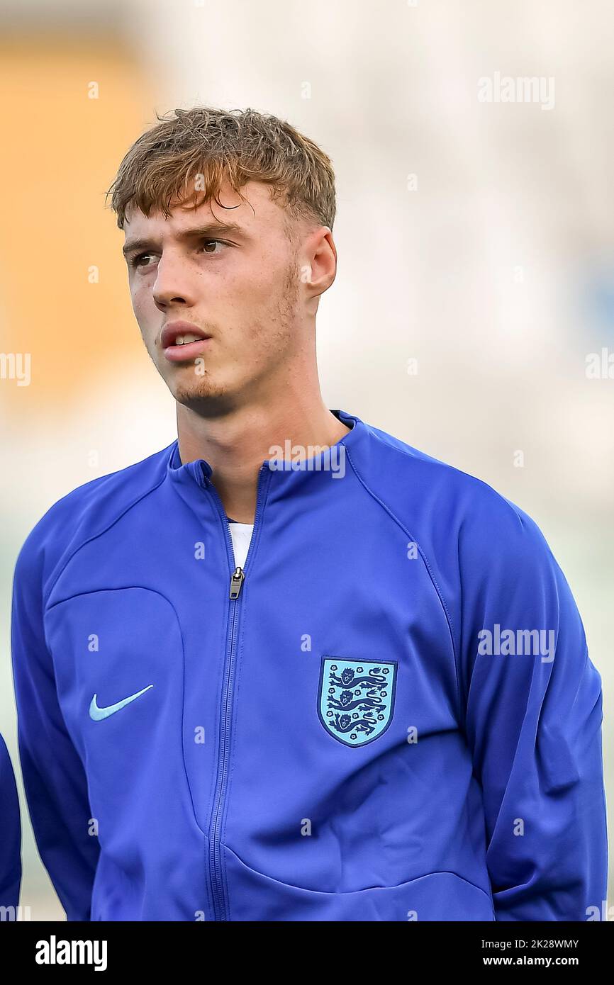 Cole palmer hi-res stock photography and images - Alamy