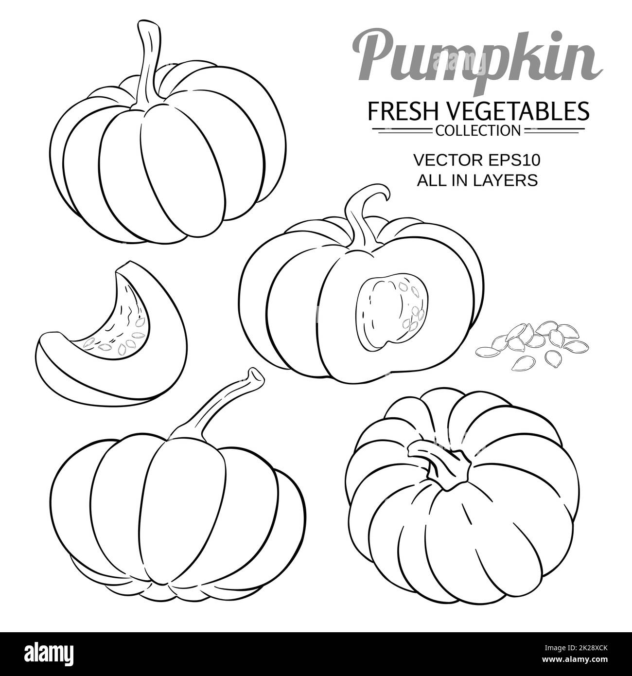 pumpkin plant vector set on white background Stock Photo