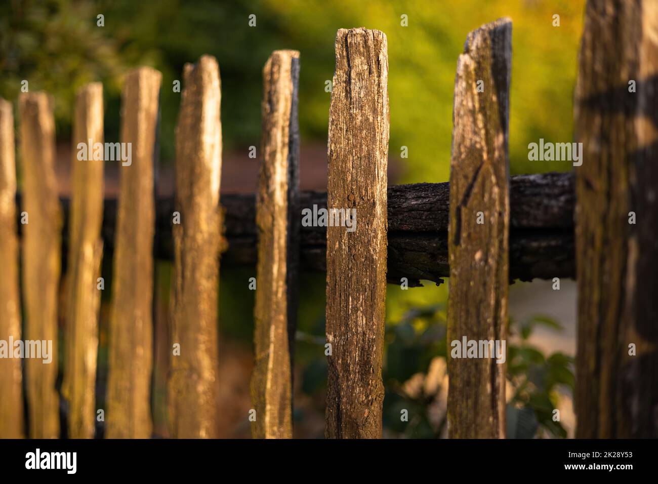 Close up of picket in an aged wooden fence with green background. Stock Photo
