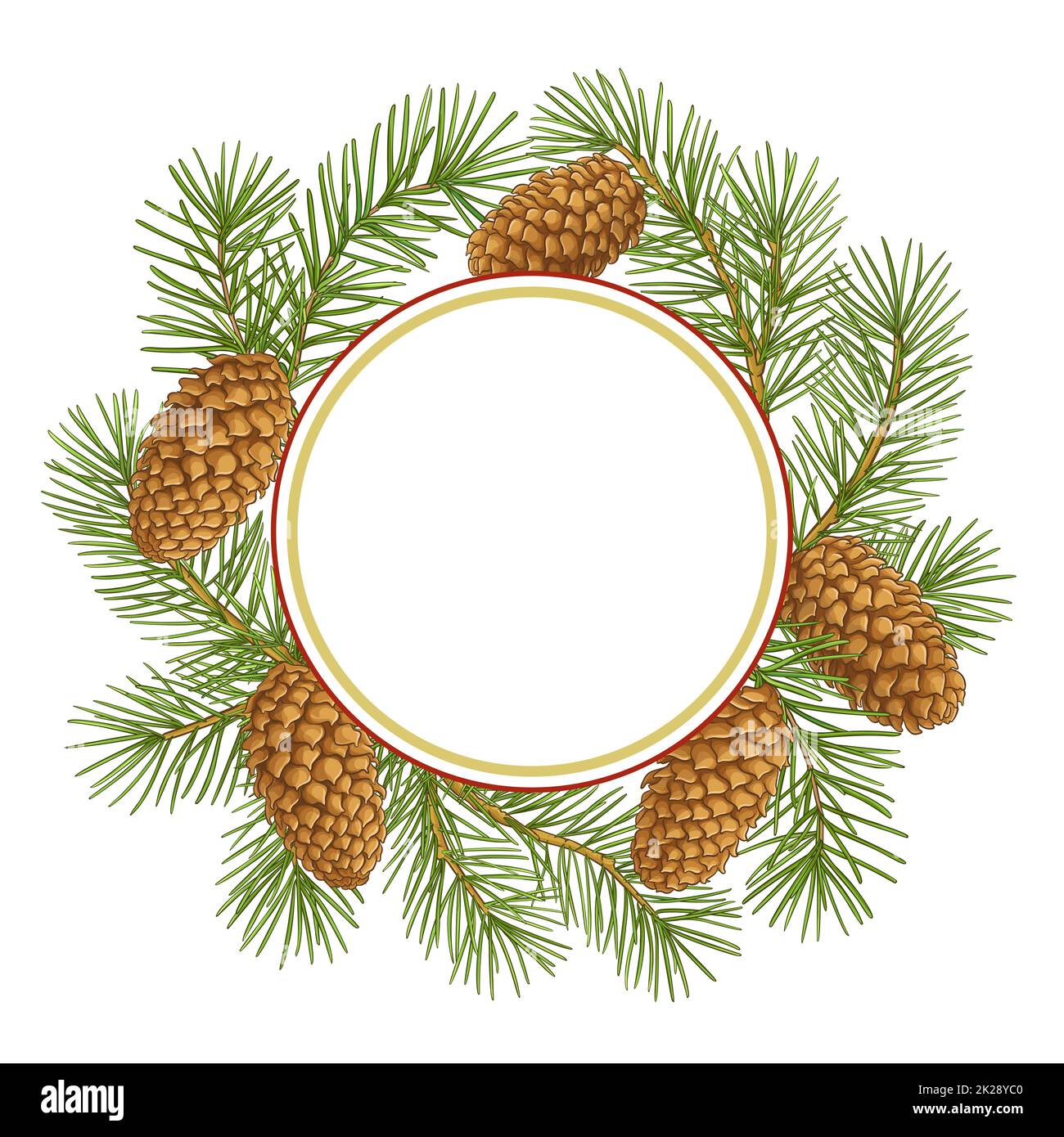 fir tree branches vector frame on white background Stock Photo - Alamy
