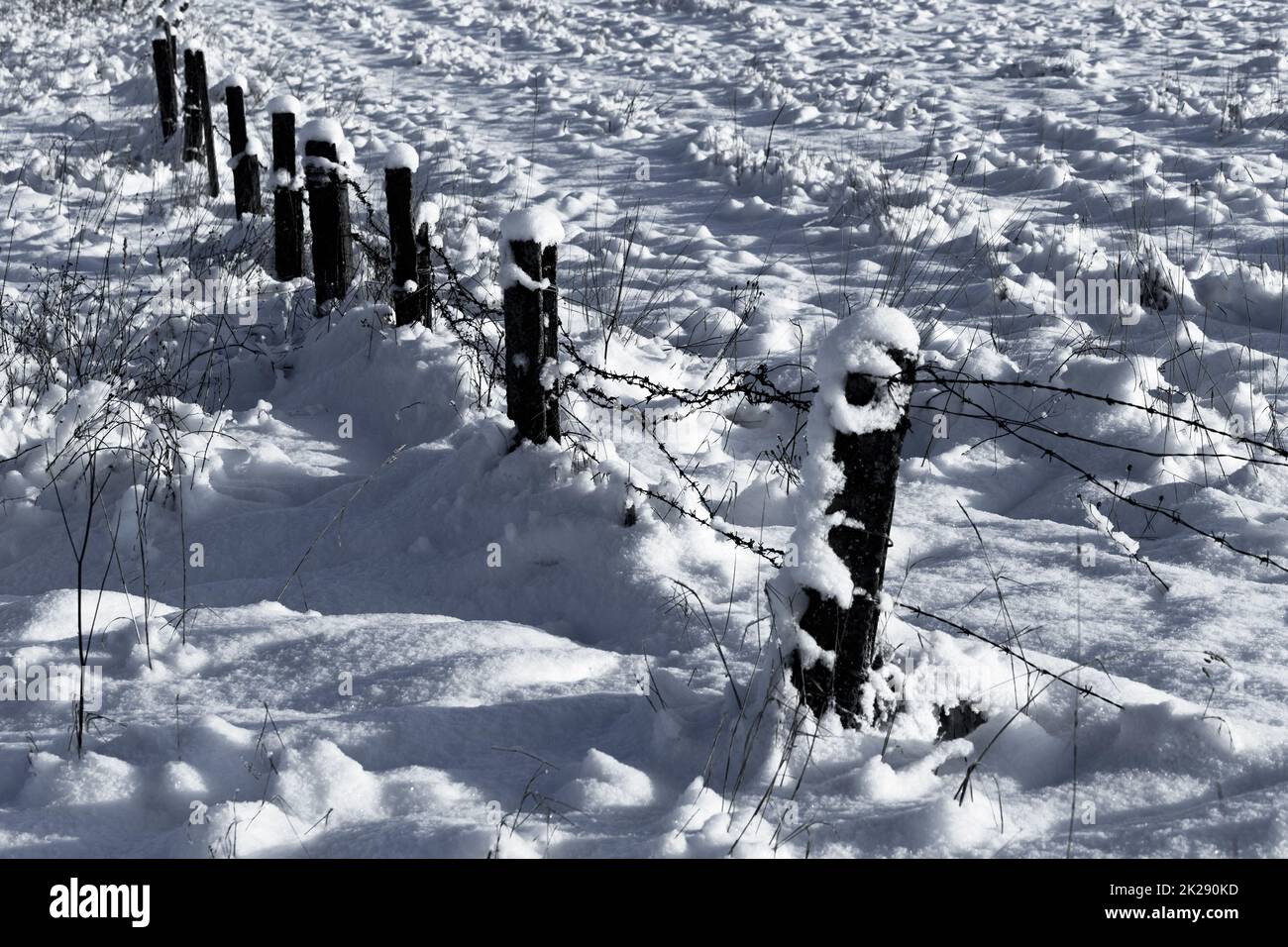 Barbed wire fence with snow Stock Photo