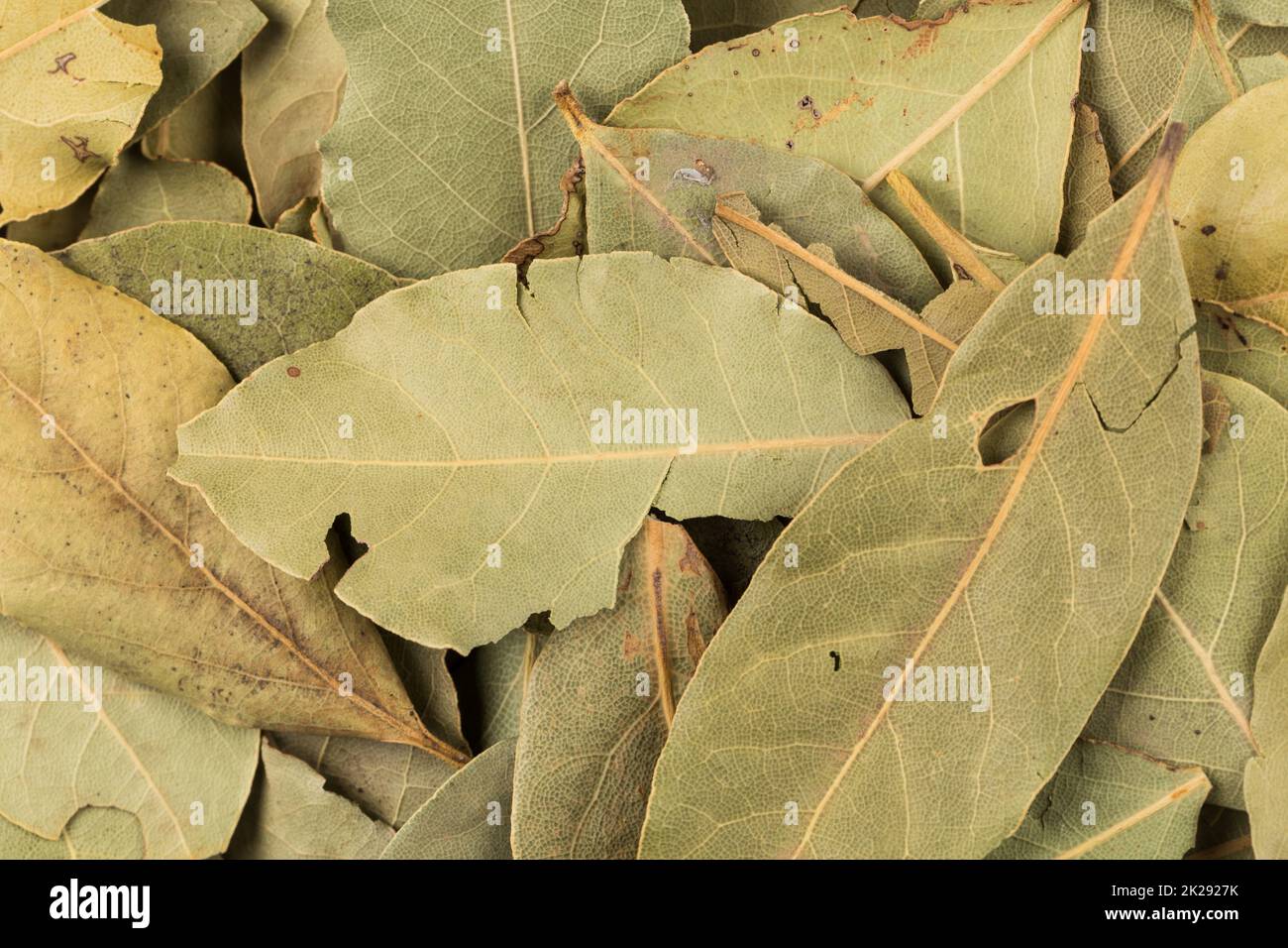 dry bay leaves background Stock Photo Alamy
