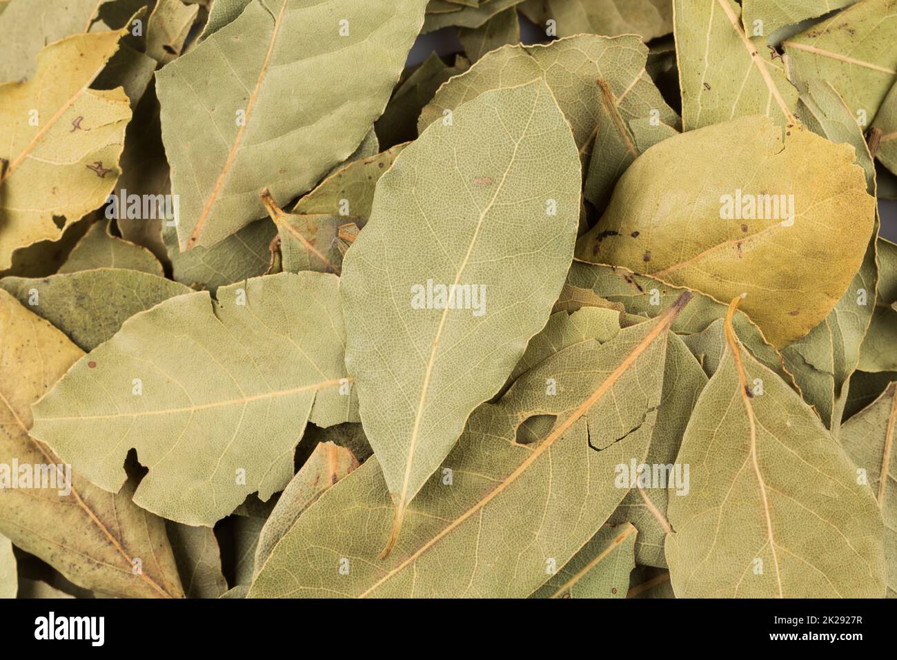 dry bay leaves background Stock Photo Alamy