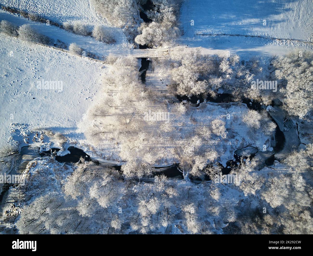 Winter woodland in frost top aerial view. Trees on riverbank. Small creek in forest. Rural dirt road. Snow covered field landscape. Cold weather Stock Photo