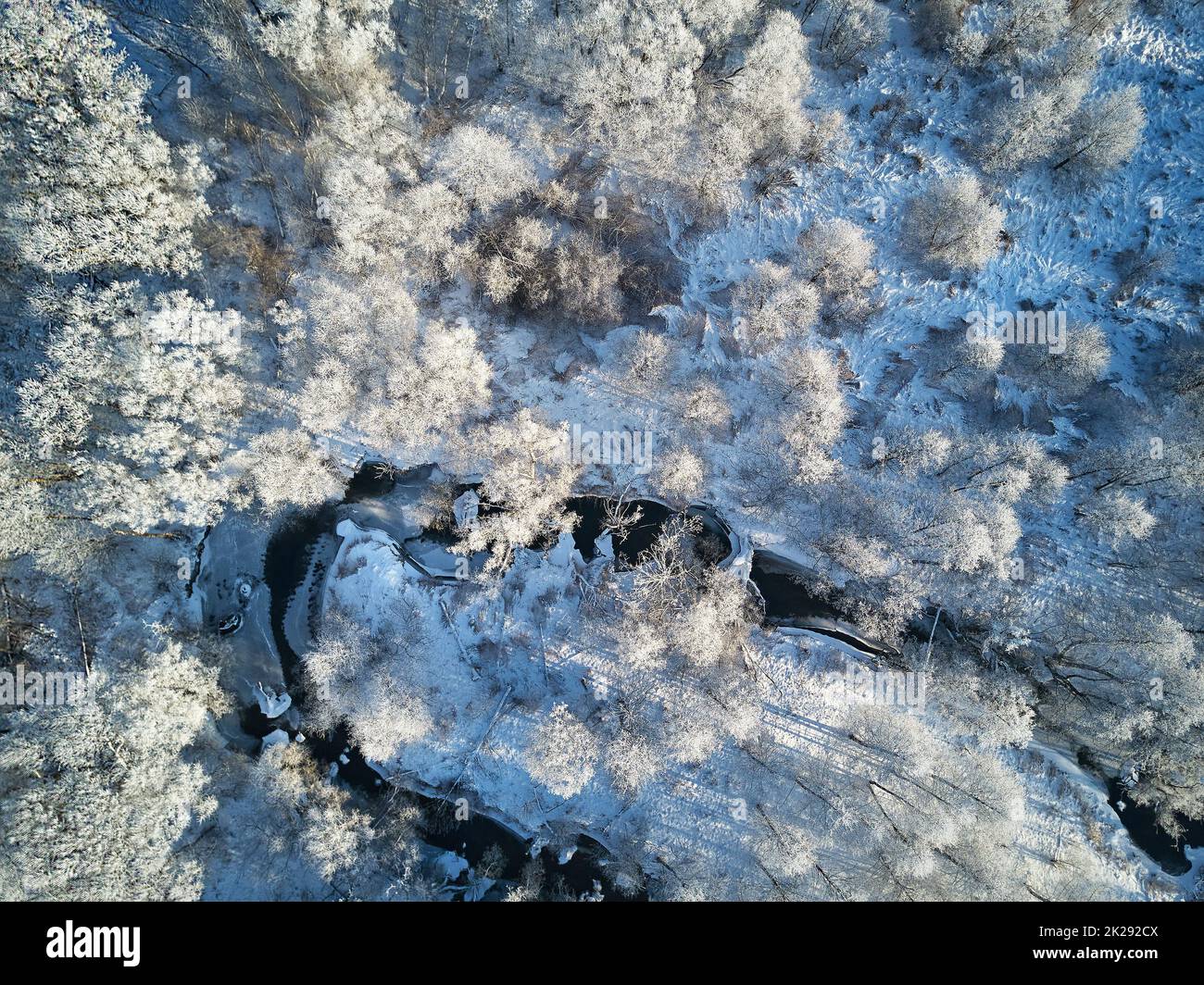 Winter woodland in frost top aerial view. Trees on riverbank. Small creek in forest. Rural dirt road. Snow covered field landscape. Stock Photo
