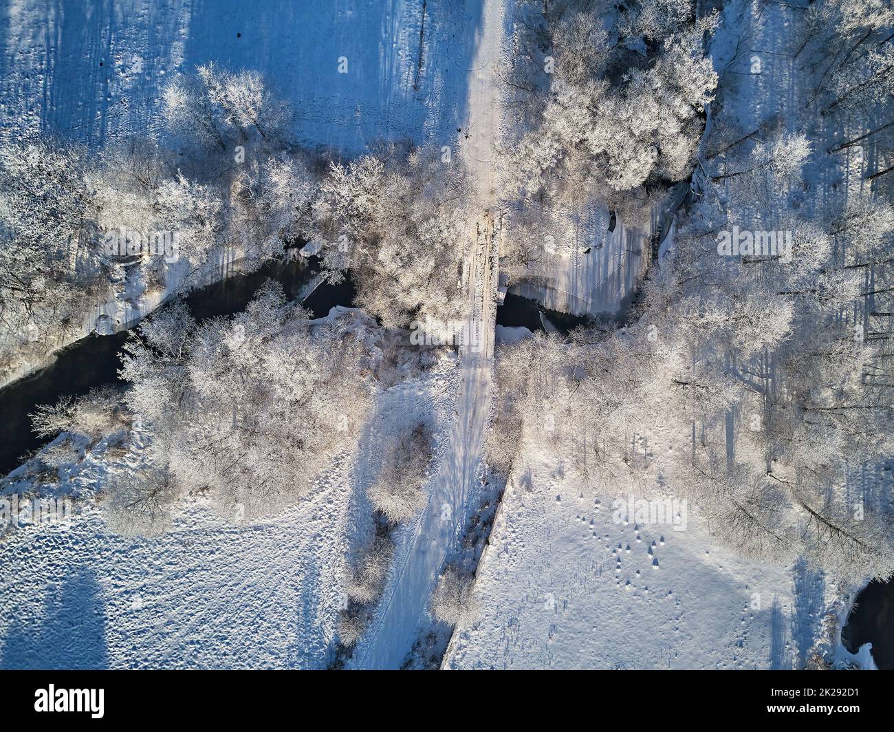 Winter woodland in frost top aerial view. Trees on riverbank. Small creek in forest. Rural dirt road. Snow covered field landscape. Cold weather. Season sunny specific weather Stock Photo