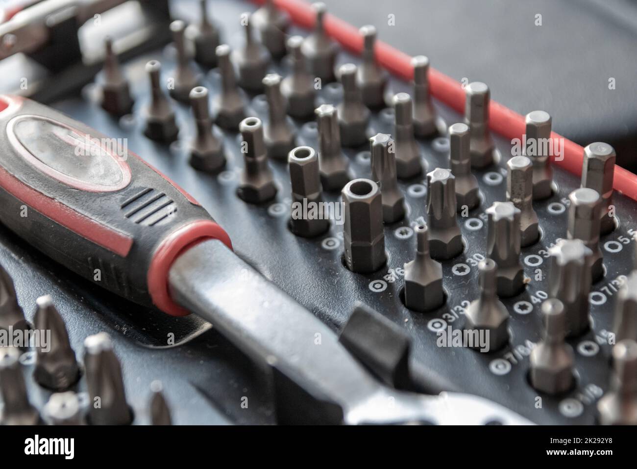 Screwdriver bits in toolbox as assorted screwing toolkit organizer with