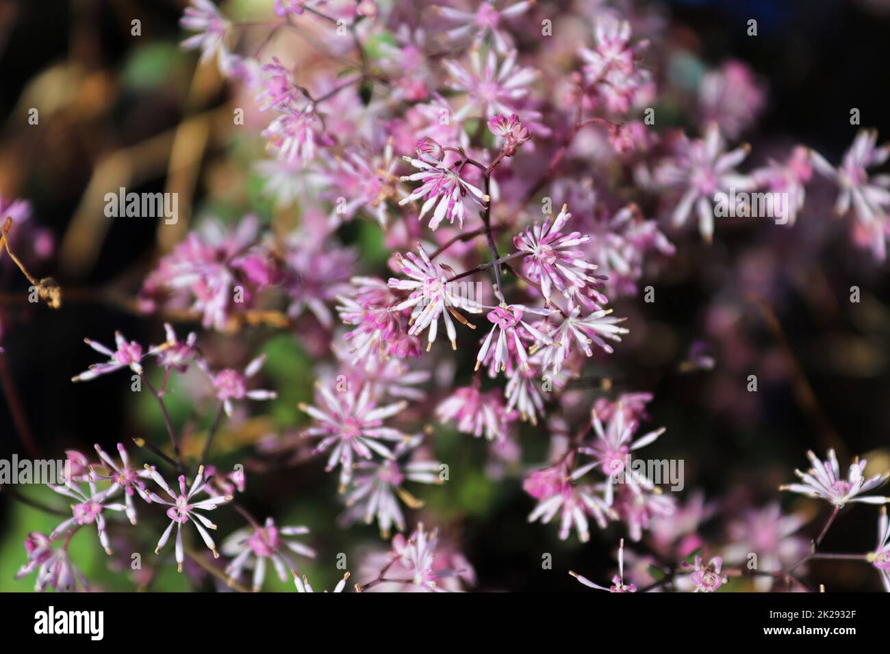 Display clusters hi-res stock photography and images - Alamy