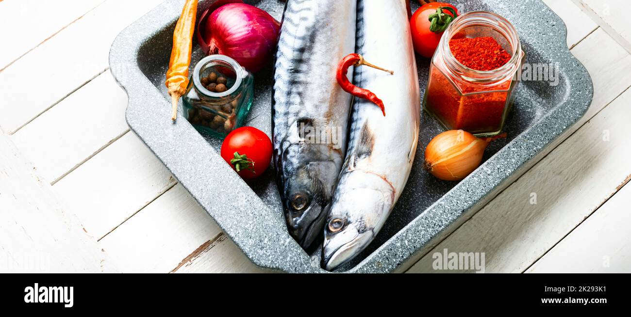 Fresh, raw mackerel fish Stock Photo Alamy