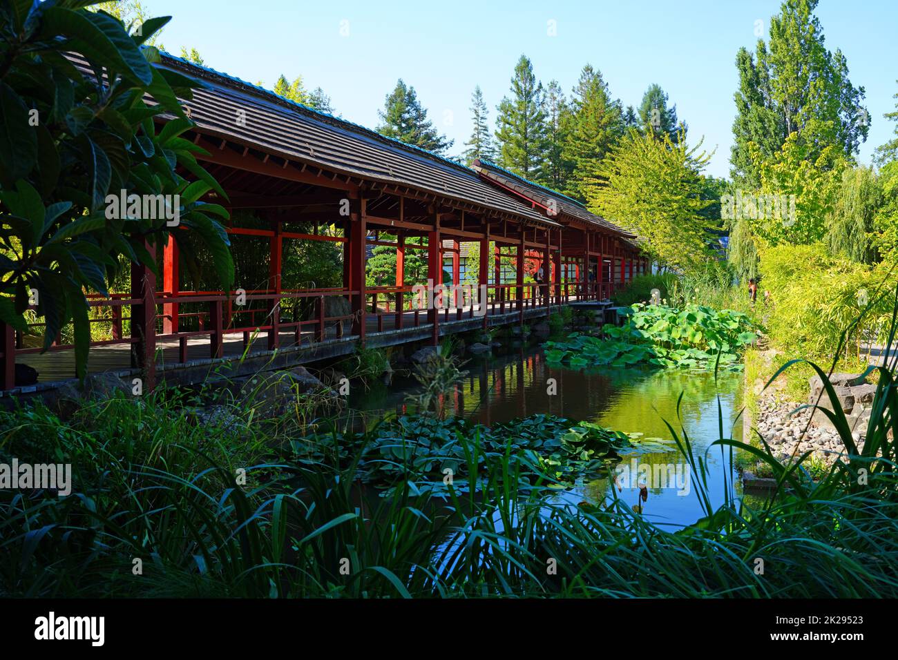 nantes-france-10-aug-2022-view-of-the-japanese-garden-on-the-ile-de