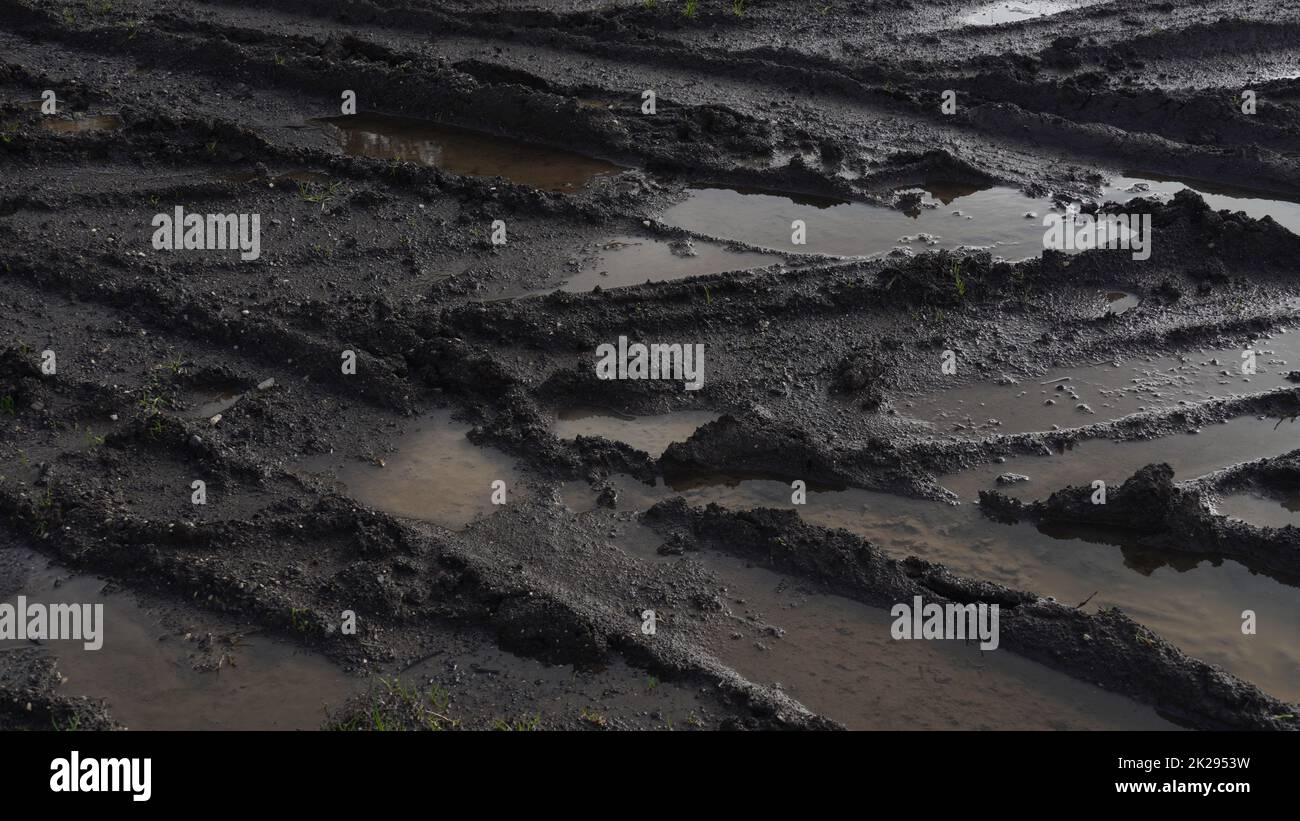 Muddy field with tire tracks and puddles. Dirty road with mud  truck wheel tracks after rain. Off-road. Stock Photo