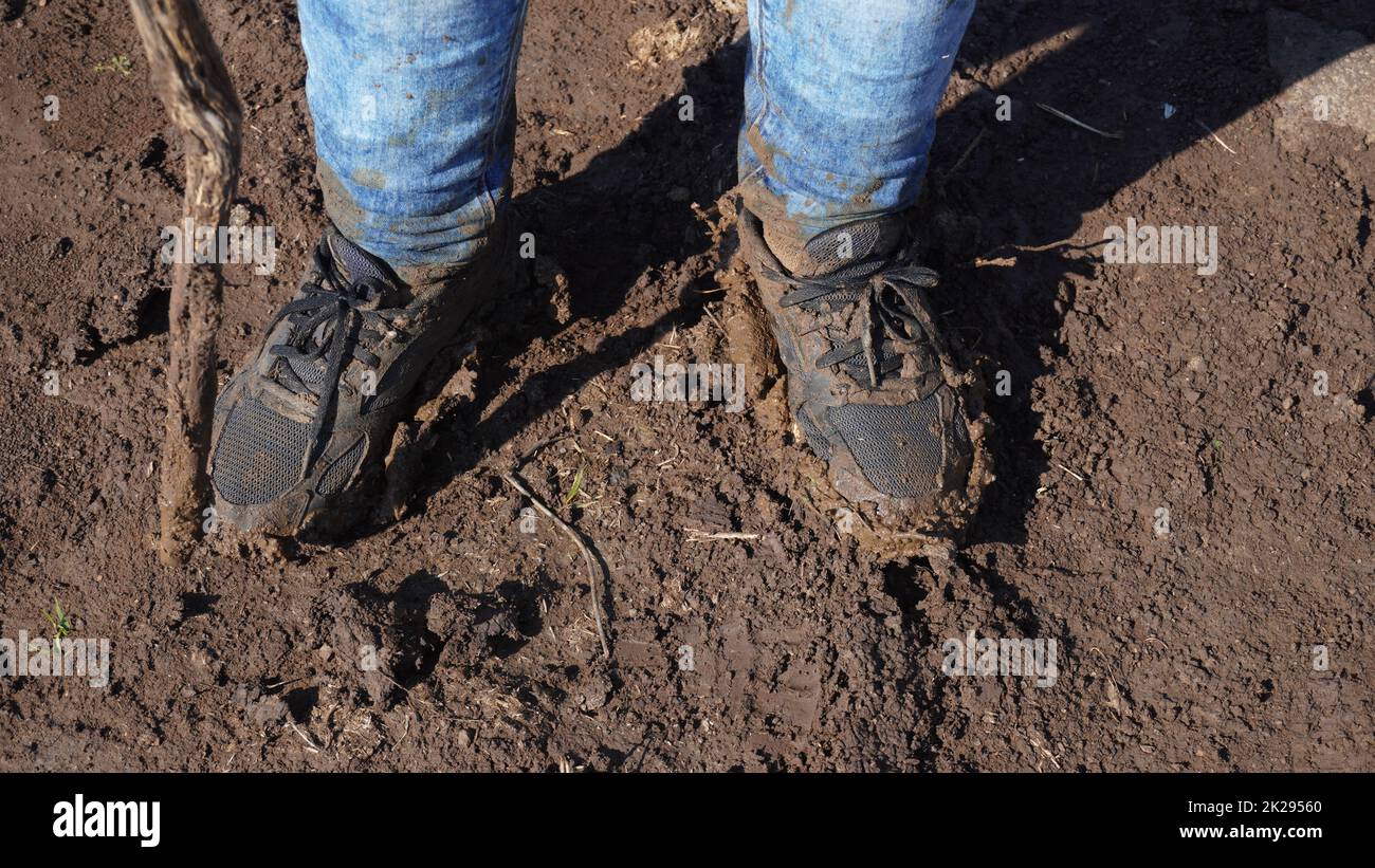 Women boots in the mud, detail of dirty boots and muddy, walk. Top down dirty black laced boots woman in blue jeans. Stock Photo