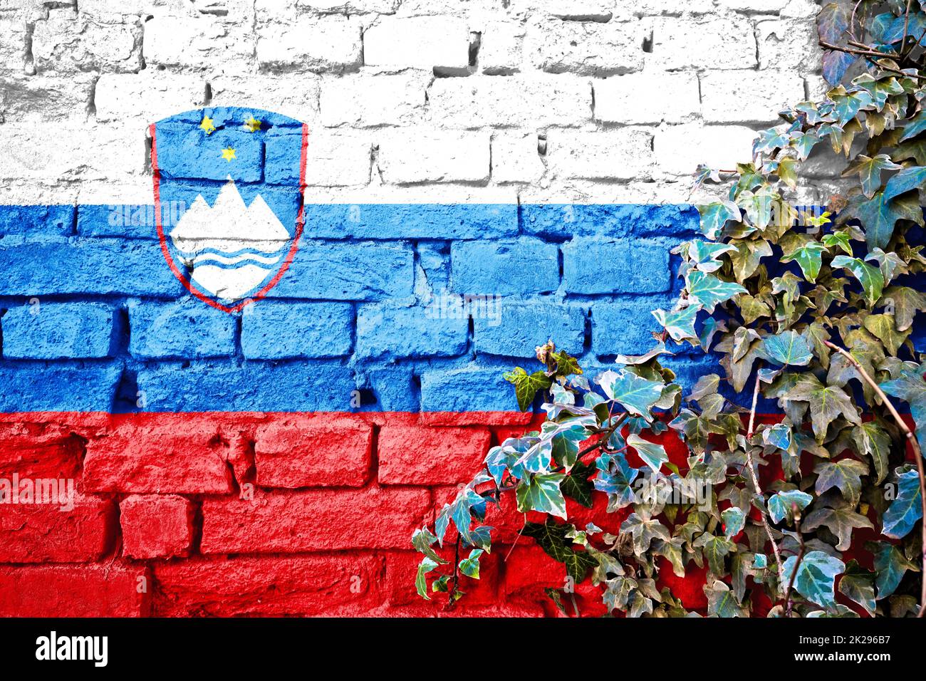 Slovenian grunge flag on brick wall with ivy plant Stock Photo - Alamy