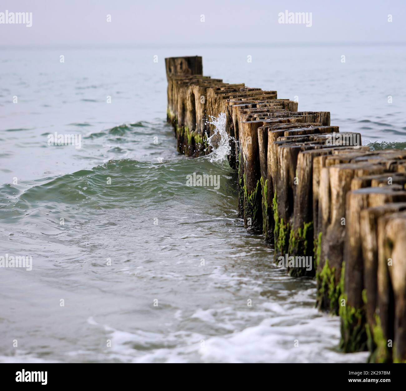 Groynes as coastal protection on the beach of the Baltic Sea. Stock Photo