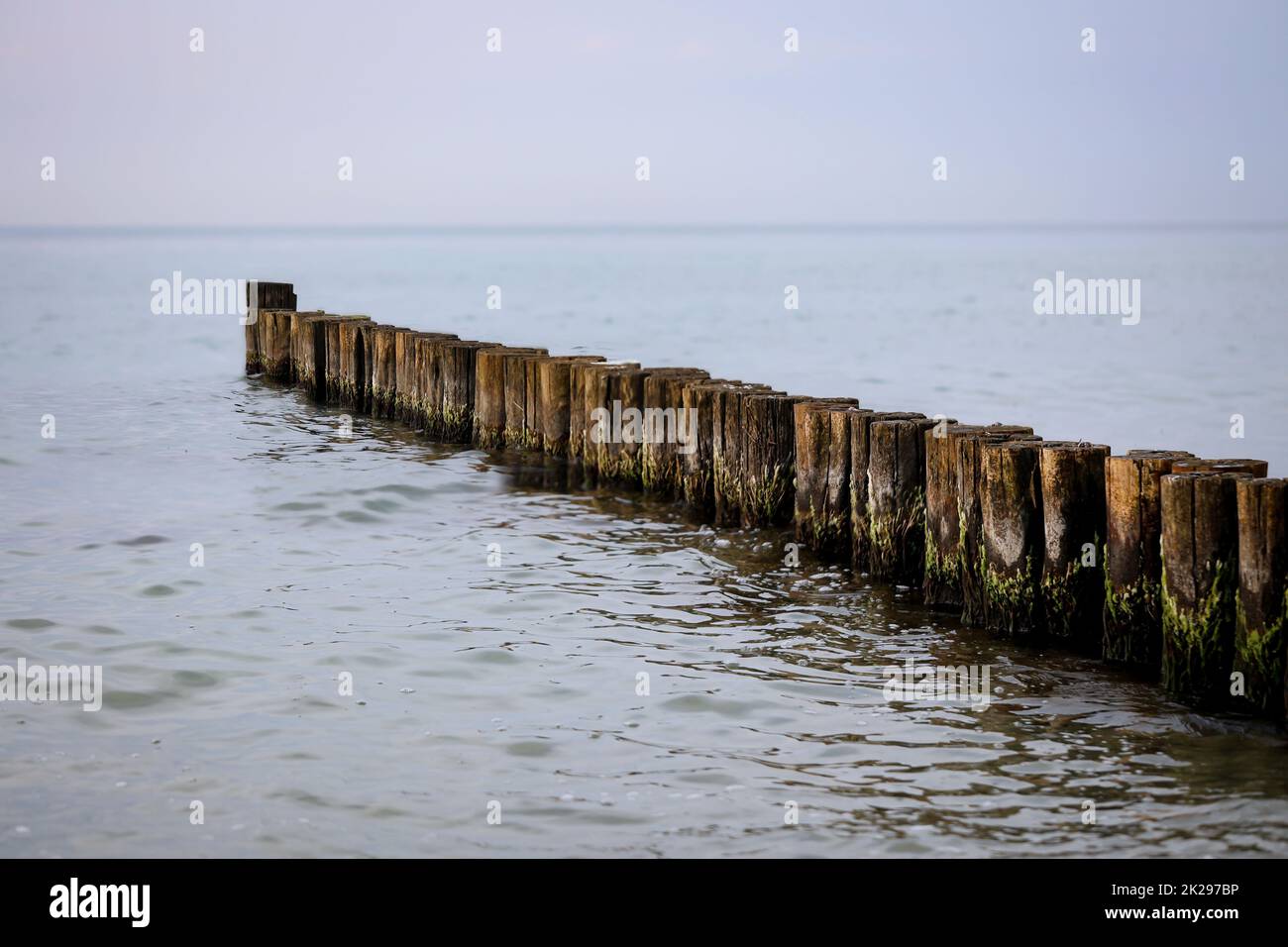 Groynes as coastal protection on the beach of the Baltic Sea. Stock Photo