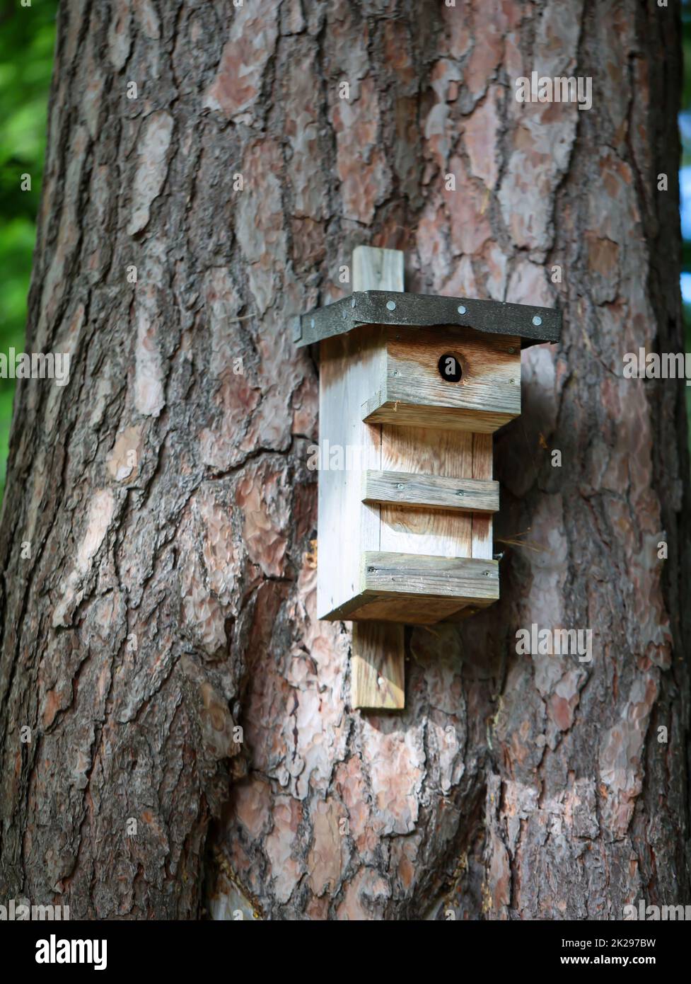 A nesting box built from scraps of wood for the birds from breeding help. Stock Photo