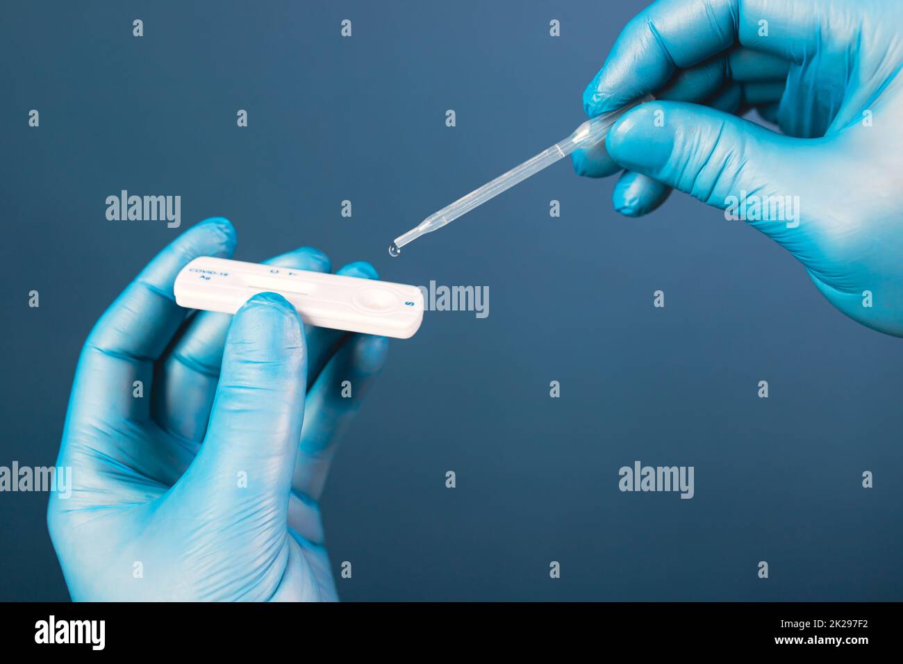 Doctor with laboratory COVID-19 test kit for diagnosis coronavirus infection. Stock Photo