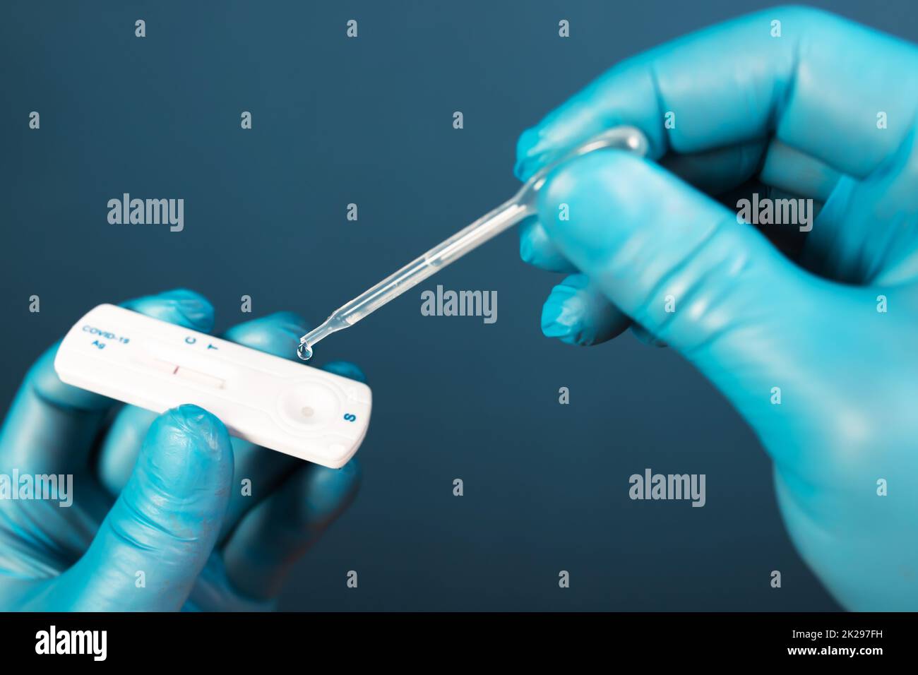 Doctor with laboratory COVID-19 test kit for diagnosis coronavirus infection. Stock Photo