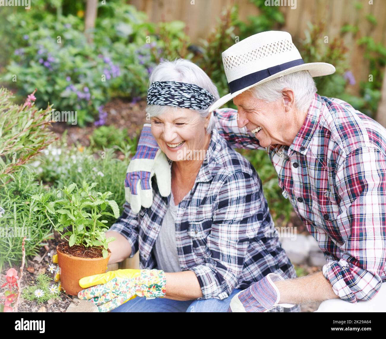 Old woman gardening hi-res stock photography and images - Alamy