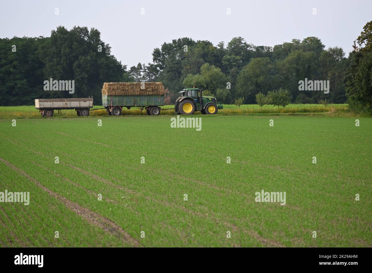 Hay harvest in the Schweinheimer Feld Stock Photo