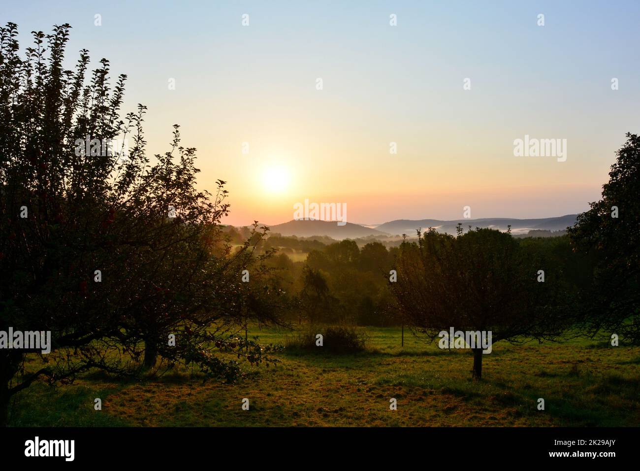 Green trees landscape nature hi-res stock photography and images - Alamy