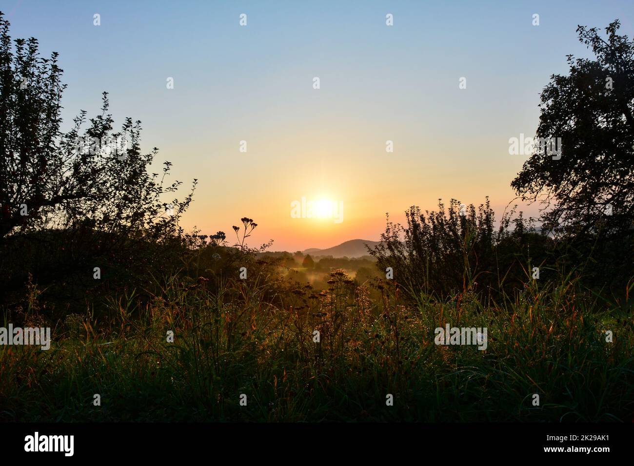 Idyllic moment in nature hi-res stock photography and images - Alamy