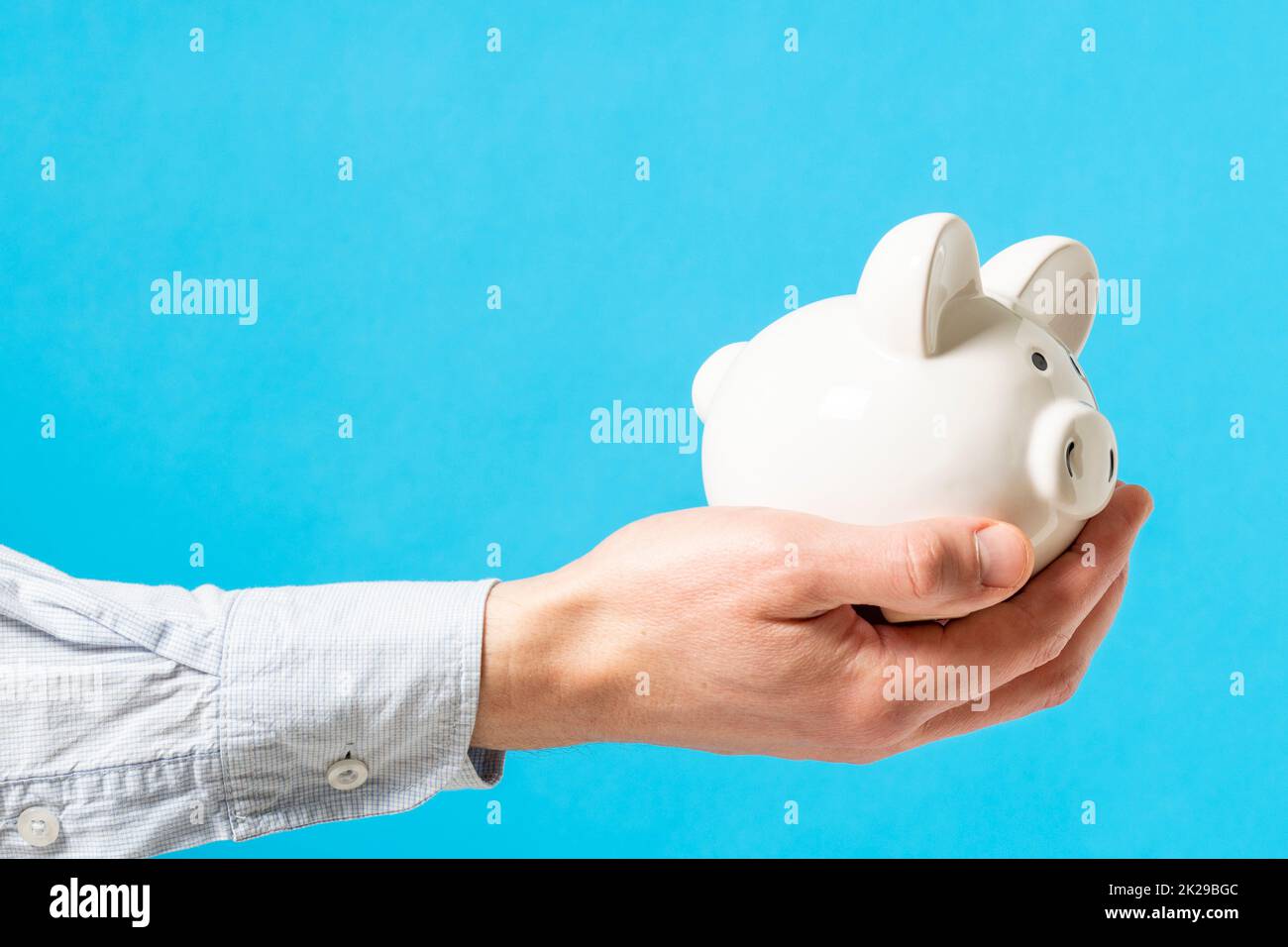 Hand holds white piggy bank  over a blue background Stock Photo