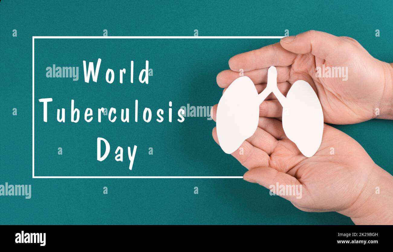 World tuberculosis day is standing on paper, hands holding a lung, awareness of disease, health care Stock Photo