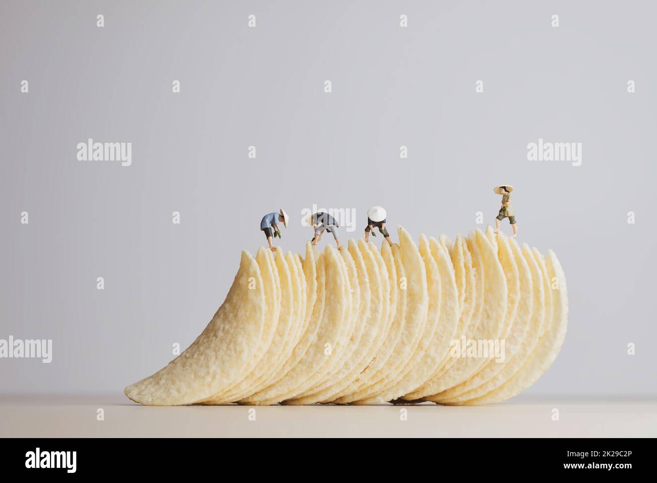 Potato chips making concept. Macro photo Stock Photo Alamy
