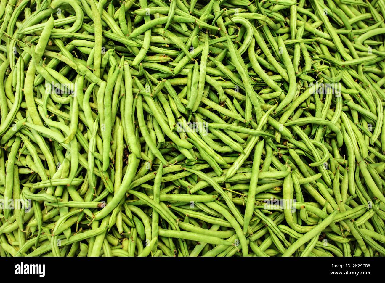 Pile of wet green (string) beans displayed on food market. Abstract