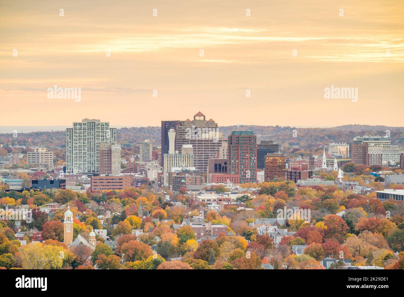 Downtown New Haven from East Rock Park Stock Photo Alamy