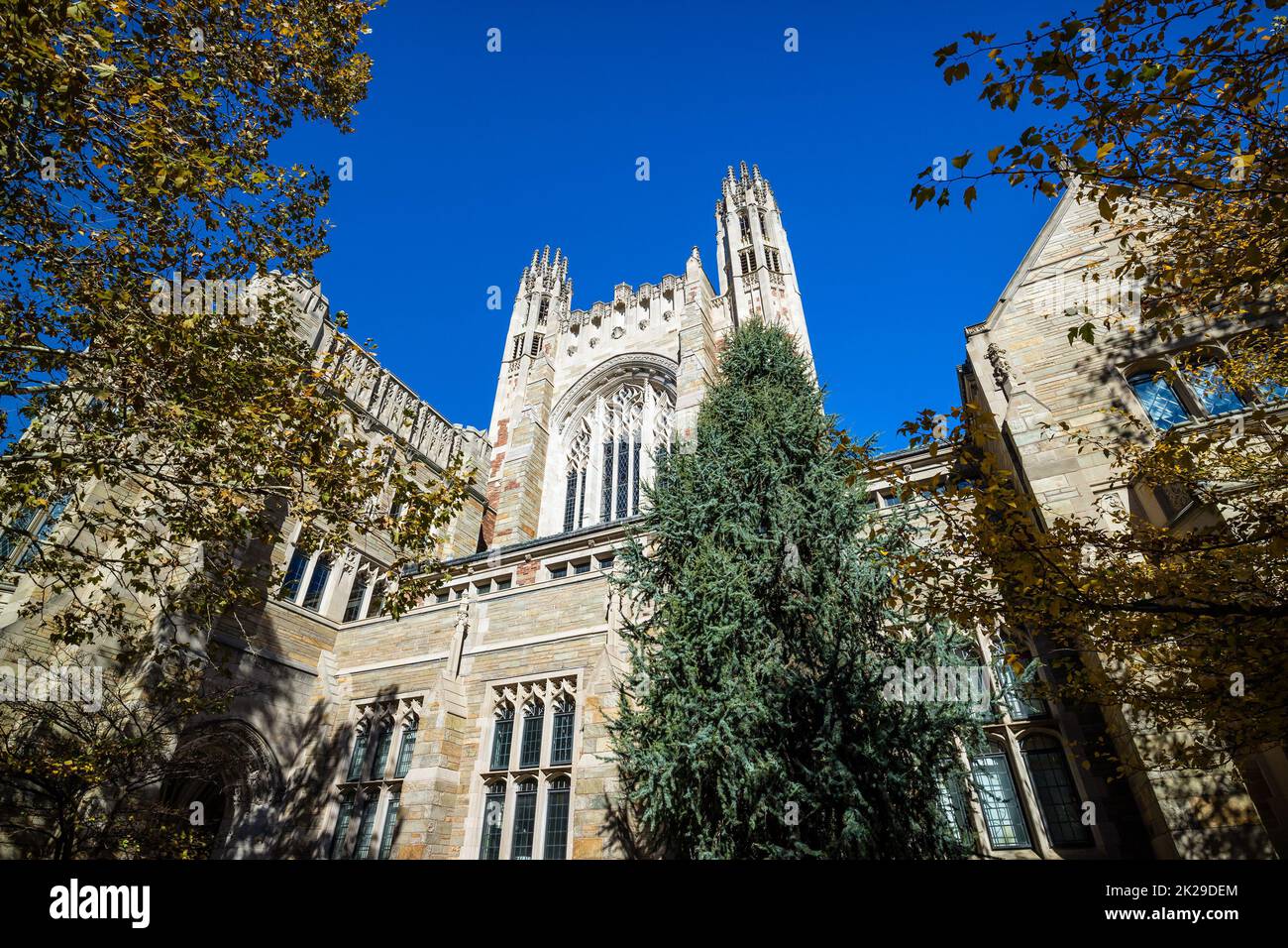 Law school library hi-res stock photography and images - Alamy, image size:1300x956