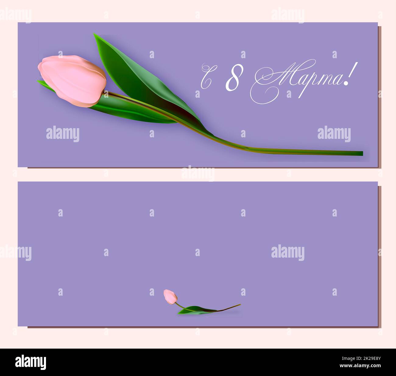 Women's Day March 8 holiday card. The inscription in Russian since March 8Greeting realistic tulip flowers template, luxury floral background, international women's day concept flyer, modern party Stock Photo