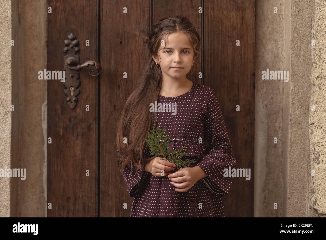 Portrait of a beautiful little girl with long hair. Stock Photo
