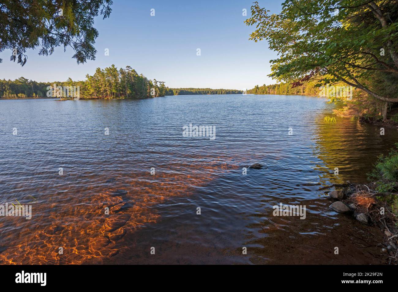 Morning Sunlight Peeking Into a Sheltered Cove Stock Photo