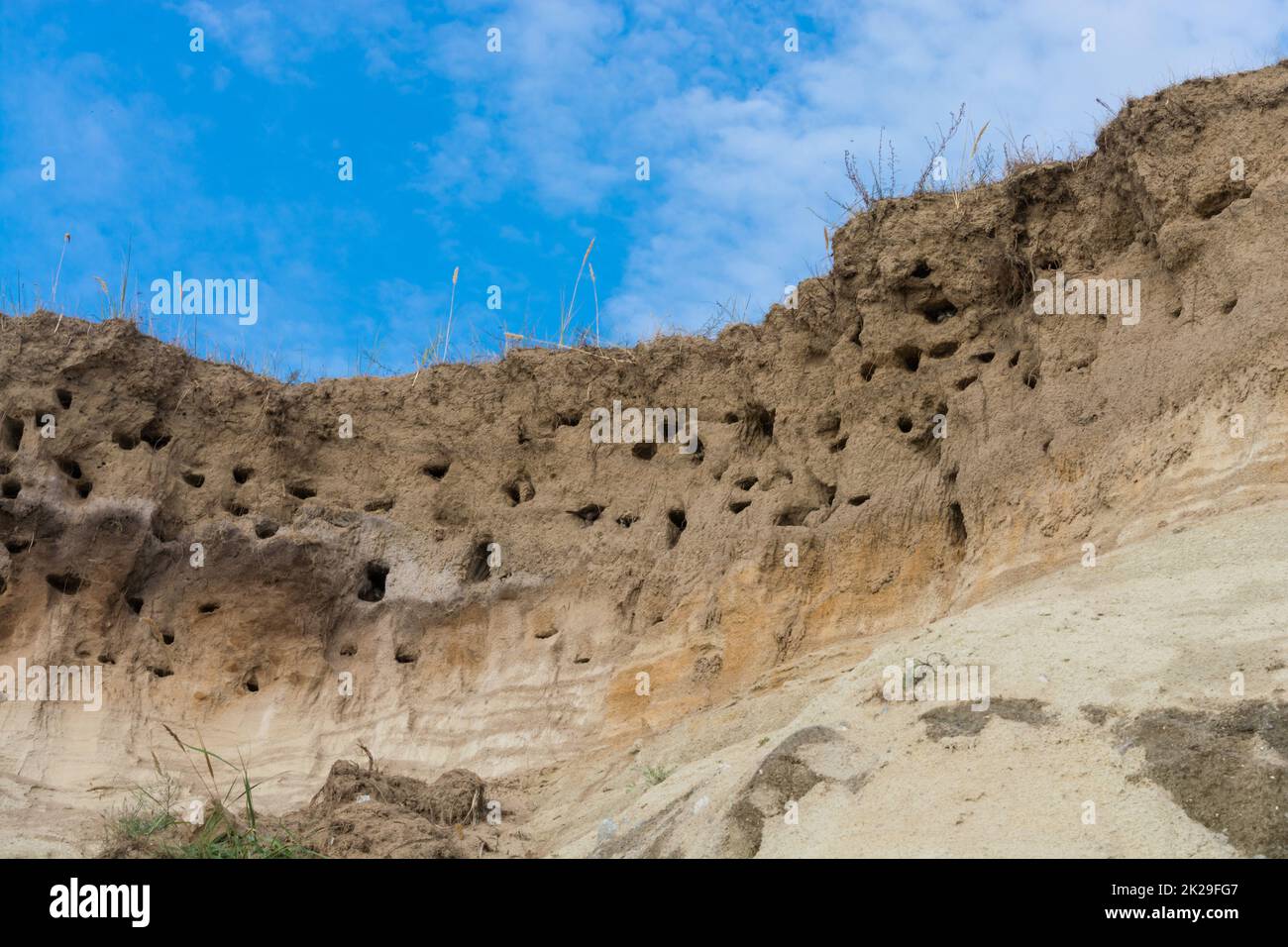 Cliff of Ahrenshoop city on the Baltic Sea peninsula Darss in Germany in summer. Stock Photo