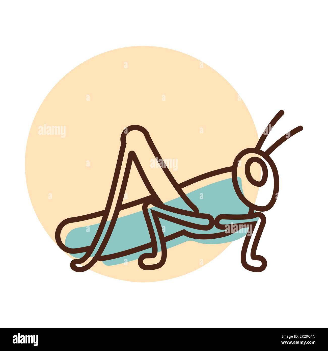 Grasshopper locust vector isolated icon Stock Photo - Alamy