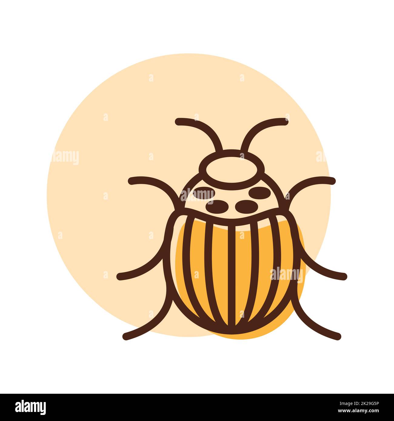 Colorado beetle vector isolated icon Stock Photo - Alamy