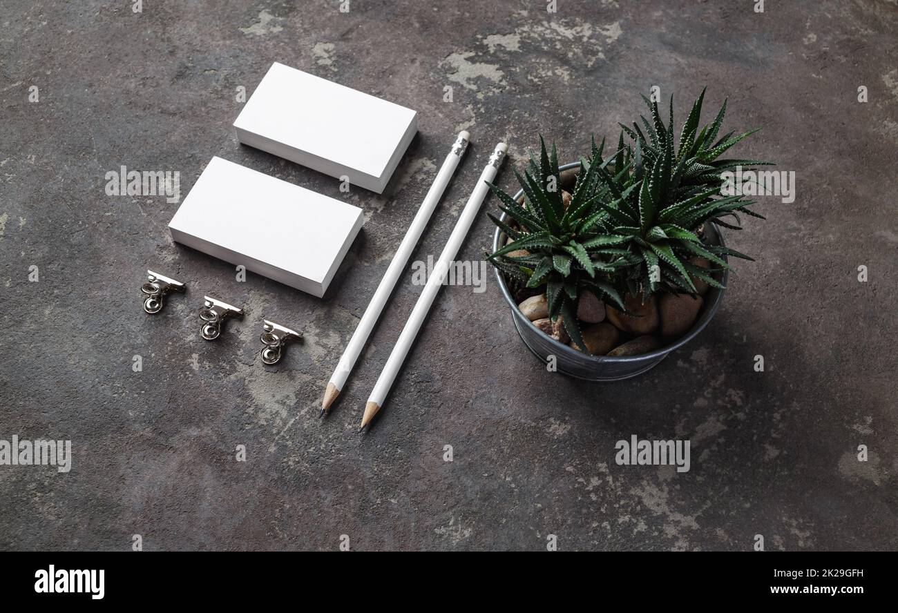 Stationery and plant Stock Photo Alamy