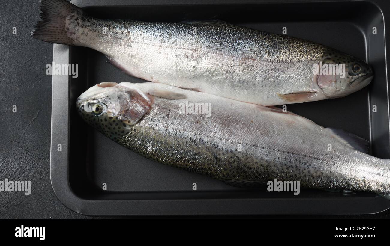 Fresh trout on a table. Healthy seafood and dieting concept. Stock Photo