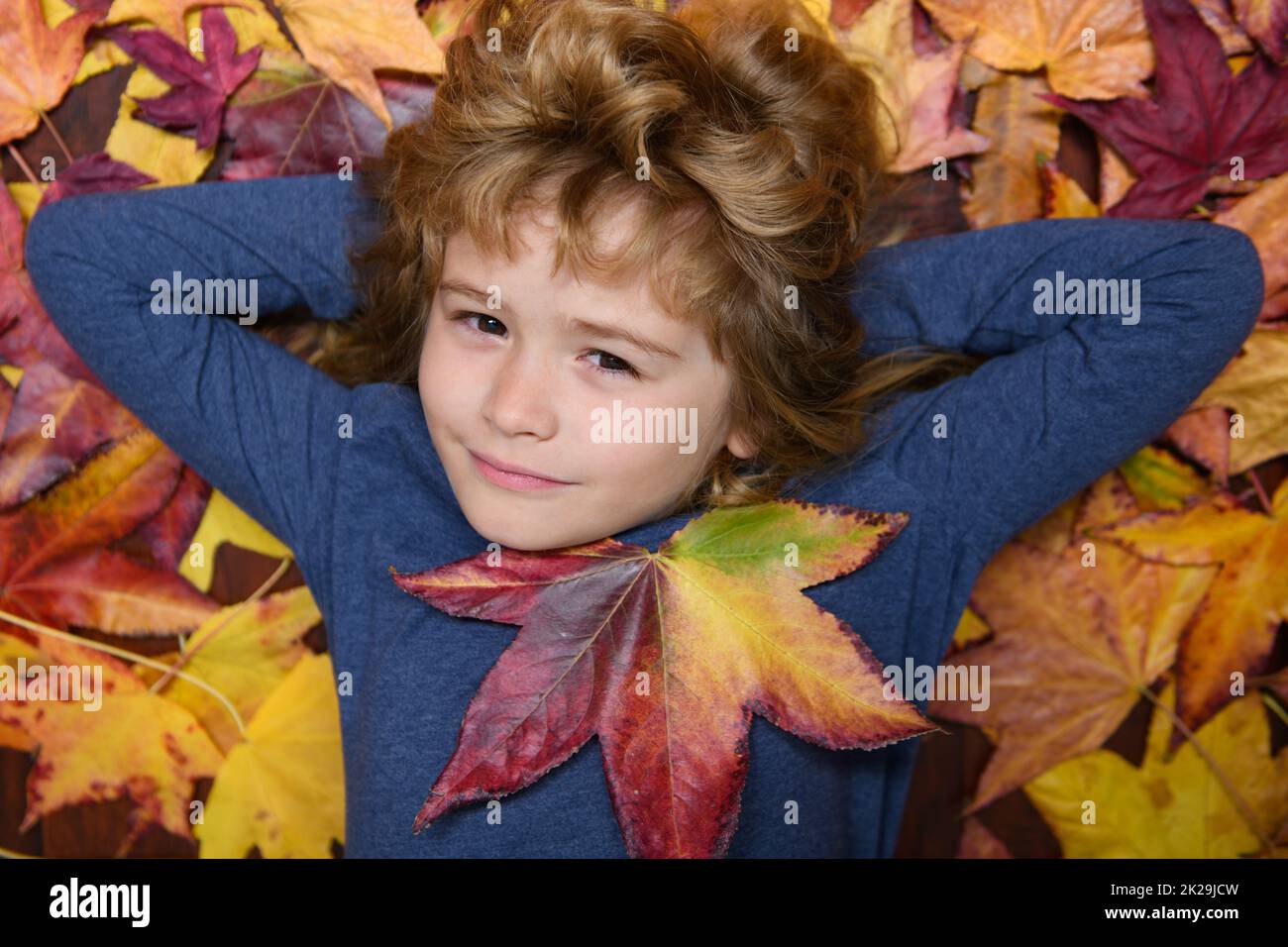 Autumn child with autumn leaves on fall nature background. Portrait of kid with fall leaves outdoor in autumn park. Stock Photo