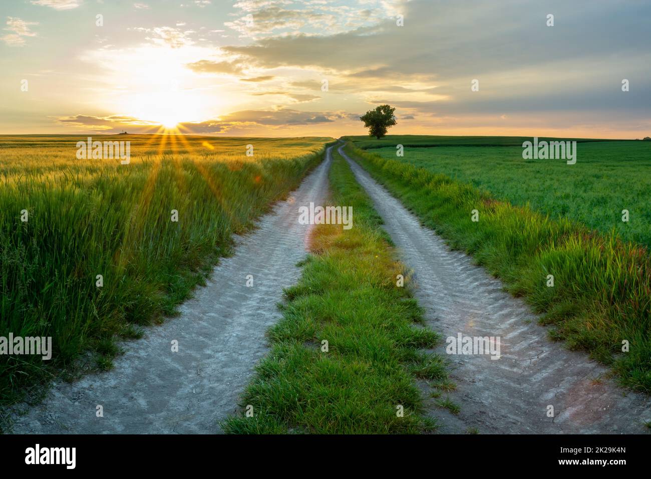 The sun hides behind the clouds and a dirt road through farmland Stock Photo