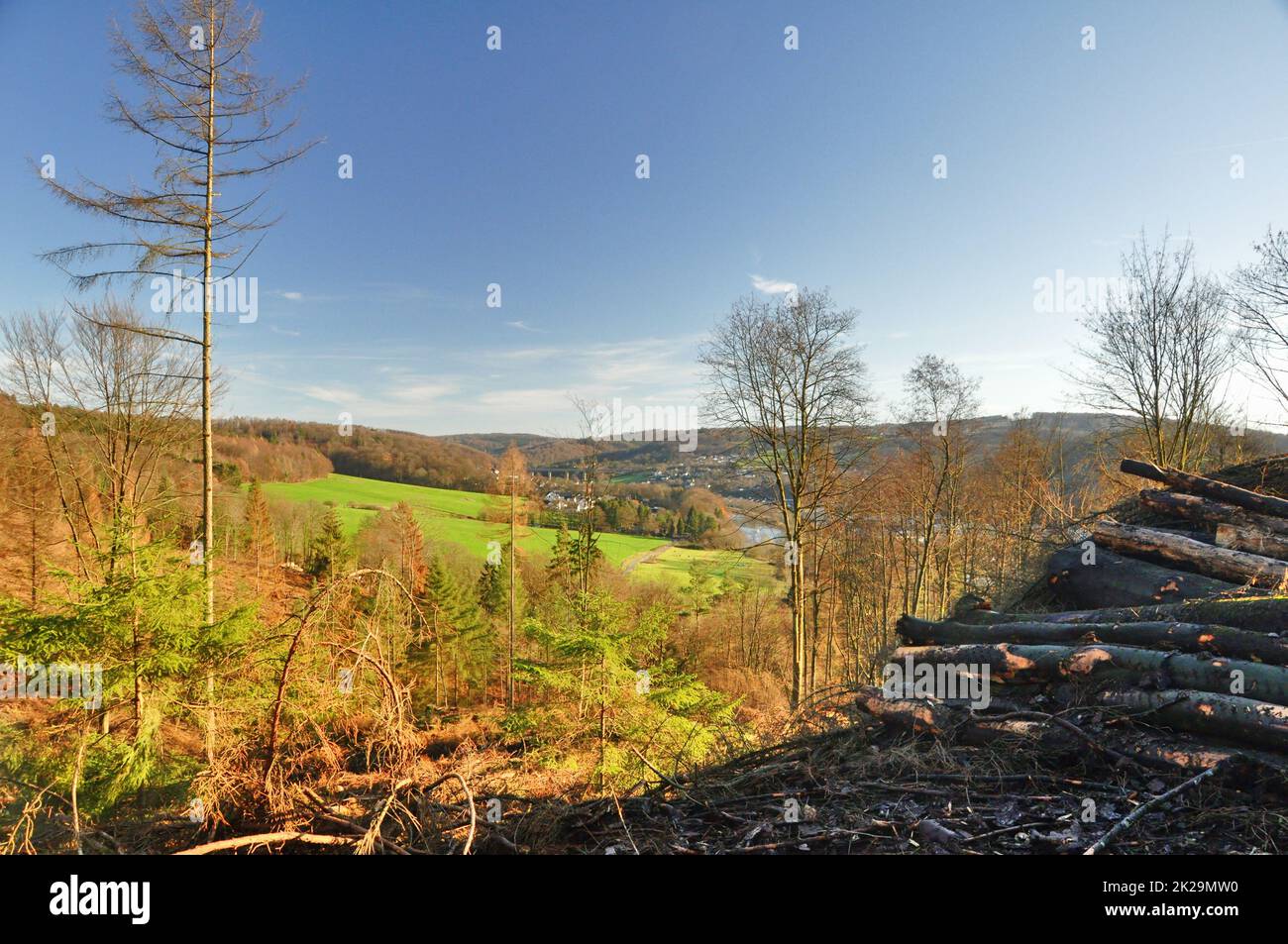 Farmer forest hi-res stock photography and images - Alamy