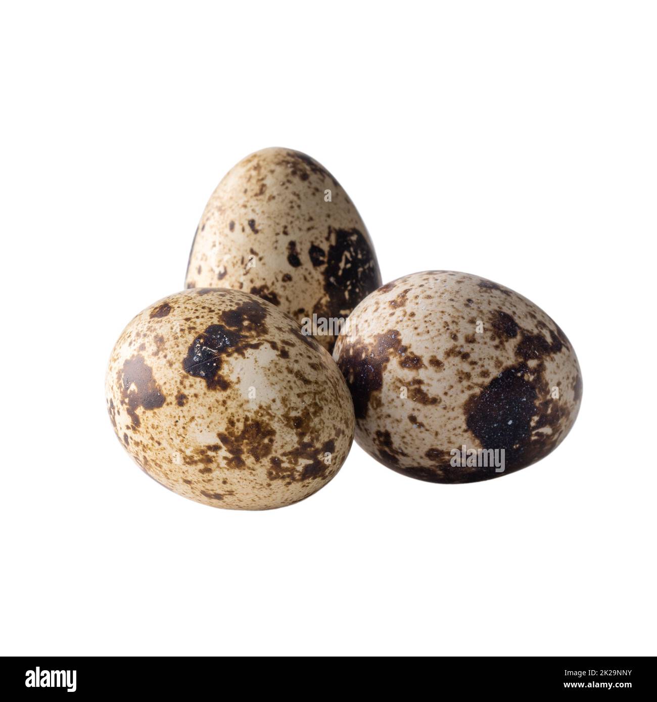 Quail eggs isolated on white background Stock Photo